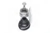 Фото 4 - шРУС к-т VW PASSAT 95-05, AUDI A4 95-00 зовнішн. RIDER RD.255021812 ШРУС к-т VW PASSAT 95-05, AUDI A4 95-00 зовнішн. RIDER RD.255021812 (фото 4)