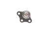 Шаровая опора нижняя Citroen C2 03-09/ C3 02-/ C3 Picasso 09-/ DS3 09-19/ Peugeot 06-12 RTS 93-90510-056 (фото 2)