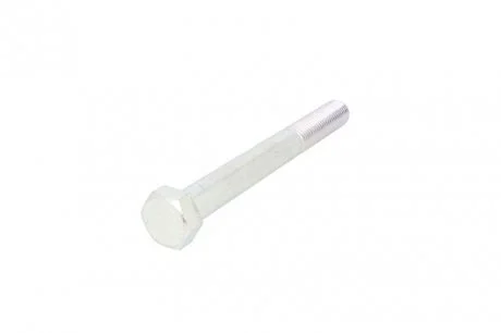 Оцинкованные шестигранные болты S-TR STR-M24X3/220-1 (фото 1)