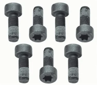 Комплект болтов, маховик SACHS 1874 000 040