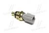 Датчик температуры охл. жидкости, 2.2 HDi/Transit 2.2 TDCi SASIC 3250018 (фото 3)
