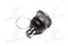 Опора кульова RENAULT LOGAN/MEGANE II/SCENIC II/CLIO III SASIC 7574003 (фото 2)