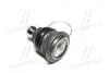 Опора кульова RENAULT LOGAN/MEGANE II/SCENIC II/CLIO III SASIC 7574003 (фото 3)