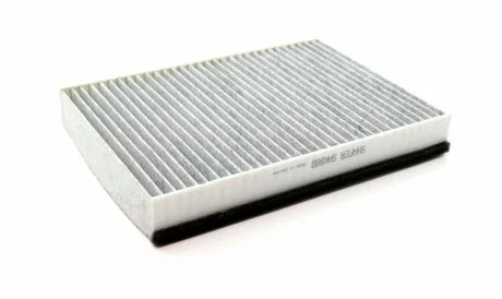 Фото 1 - фильтр салонный Fiat 500L, 500X; Jeep Compass II, Renegade, 12-, (USA), угольный SHAFER SAK889 Фильтр салонный Fiat 500L, 500X; Jeep Compass II, Renegade, 12-, (USA), угольный SHAFER SAK889 (фото 1)