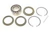 Комплект подшипника ступицы колеса SKF VKBA 3201