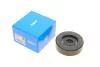 Ролик натягувача ременя (Пр-во SKF) VKM 66006