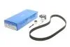 Ремкомплект ГРМ  VAG 06B 198 119 A (Пр-во SKF) VKMA 01018