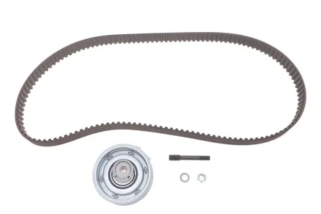 Ремінь ГРМ з роликами, комплект VAG SKF VKMA 01113