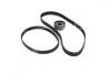 Комплект ремня ГРМ (Пр-во SKF) VKMA 01266