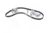 Комплект ременя ГРМ (Пр-во SKF) VKMA 01918