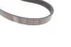Поликлиновой ременный комплект SKF VKMA 36055 (фото 3)