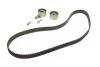 Комплект ременя ГРМ (Пр-во SKF) VKMA 91003
