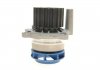 Водяний насос + комплект зубчастого ременя SKF VKMC 01250-1 (фото 6)