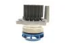 Водяной насос + комплект зубчатого ремня SKF VKMC 01250-1 (фото 6)