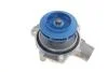 Водяной насос + комплект зубчатого ремня AUDI Q5 (Выр-во) SKF VKMC 01278-1 (фото 9)