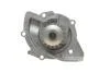 Комплект ременя ГРМ з водяним насосом FORD KUGA II (DM2) 2.0 TDCi SKF VKMC 03205 (фото 11)