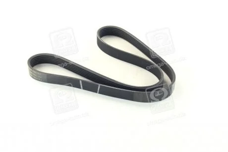 Ремень поликлин. SKF VKMV 6PK1042