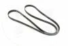 Ремень поликлин. (пр-во SKF) VKMV 6PK2155