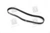 Ремінь поліклін. (пр-во SKF) VKMV 6PK923