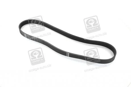 Ремень поликлин. SKF VKMV 6PK923