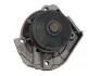 FIAT Помпа воды PUNTO,PALIO,SIENA,DOBLO 99- SKF VKPC 82250 (фото 2)