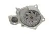 Фото 3 - насос водяной SKF VKPC 95865 Насос водяной SKF VKPC 95865 (фото 3)