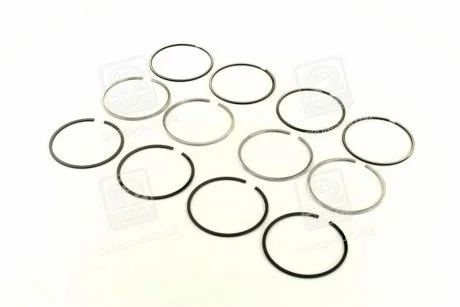 Кольца поршневые D69,6 2,0 x 1,5 x 2,0 SM 792096-00-4