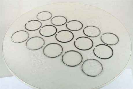 Кільця поршневі VAG 5 Cyl. 81,00 2,5 x 2,0 x 3,00 mm (вир-во) SM 795041-00-5 (фото 1)