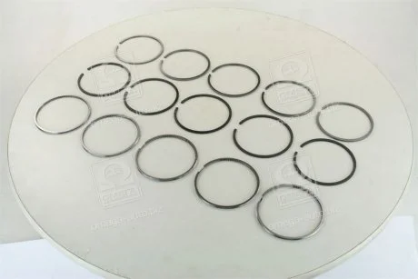 Кольца поршневые VAG 5 Cyl. 81,00 2,5 x 2,0 x 3,00 mm (выр-во) SM 795041-00-5