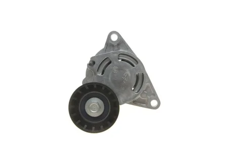 Натяжник кулич поликлин. Nissan/Renault 2.2dCi-2.5dCi 03- SNR NTN GA355.26 (фото 1)