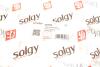 Рычаг подвески Solgy 204059 (фото 3)