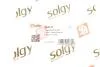 Рычаг подвески Solgy 204137 (фото 3)