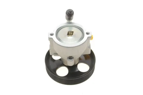 Насос ГУР Citroen Berlingo/Peugeot Partner 2.0HDI 02-11 Solgy 207018