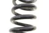 Пружина підвіски Solgy 212125 (фото 3)
