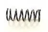 Пружина подвески задн SSANGYONG 4511034003 (фото 1)
