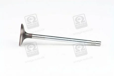 Клапан впускной D20, D27 Ssang Yong SSANGYONG 6650530401