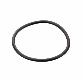 Уплотняющее кольцо SWAG 30917964