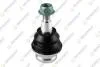 TEKNOROT VW Шаровая опора передн.нижняя Audi A8 10- A-834