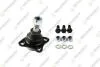 TEKNOROT FIAT Шаровая опора лев./прав.13mm Albea,Palio Weekend 96- F-505