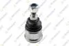TEKNOROT ROVER Шаровая опора лев./прав.800 86-,Honda Legend 86- RO-304