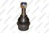 VW Шаровая опора верх.рычага лев./прав.T4 90- TEKNOROT V-704 (фото 1)