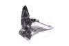 Подкрылок пер. лев. SK OCTAVIA 05-09 (TEMPEST) 045 0517 387