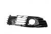 Ґрати бамп. пра. VW PASSAT B5 00-05 (пр-во TEMPEST) 051 0609 910