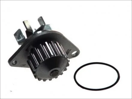 Водяна помпа THERMOTEC D1P038TT