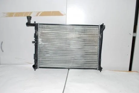 Радиатор THERMOTEC D70301TT
