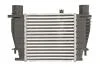 Интеркулер THERMOTEC DA1003TT (фото 1)