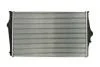 Интеркулер THERMOTEC DAV003TT (фото 2)