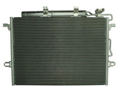 Радіатор кондиціонера, 02-09 THERMOTEC KTT110142 (фото 1)
