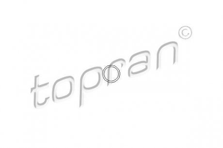 Ущільнююче кільце форсунки. TOPRAN / HANS PRIES 100678 (фото 1)