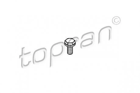 Болт маховика TOPRAN / HANS PRIES 110260 (фото 1)